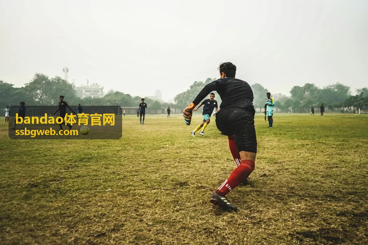 bandao体育直播看点预告封面